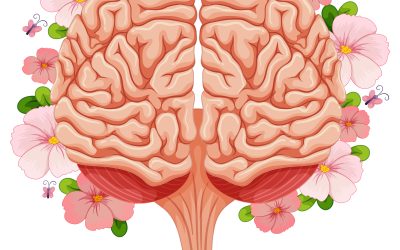 Sessualità e Neuroscienze: L’Intreccio Invisibile nel Tuo Cervello – Novità dal Mondo della Ricerca