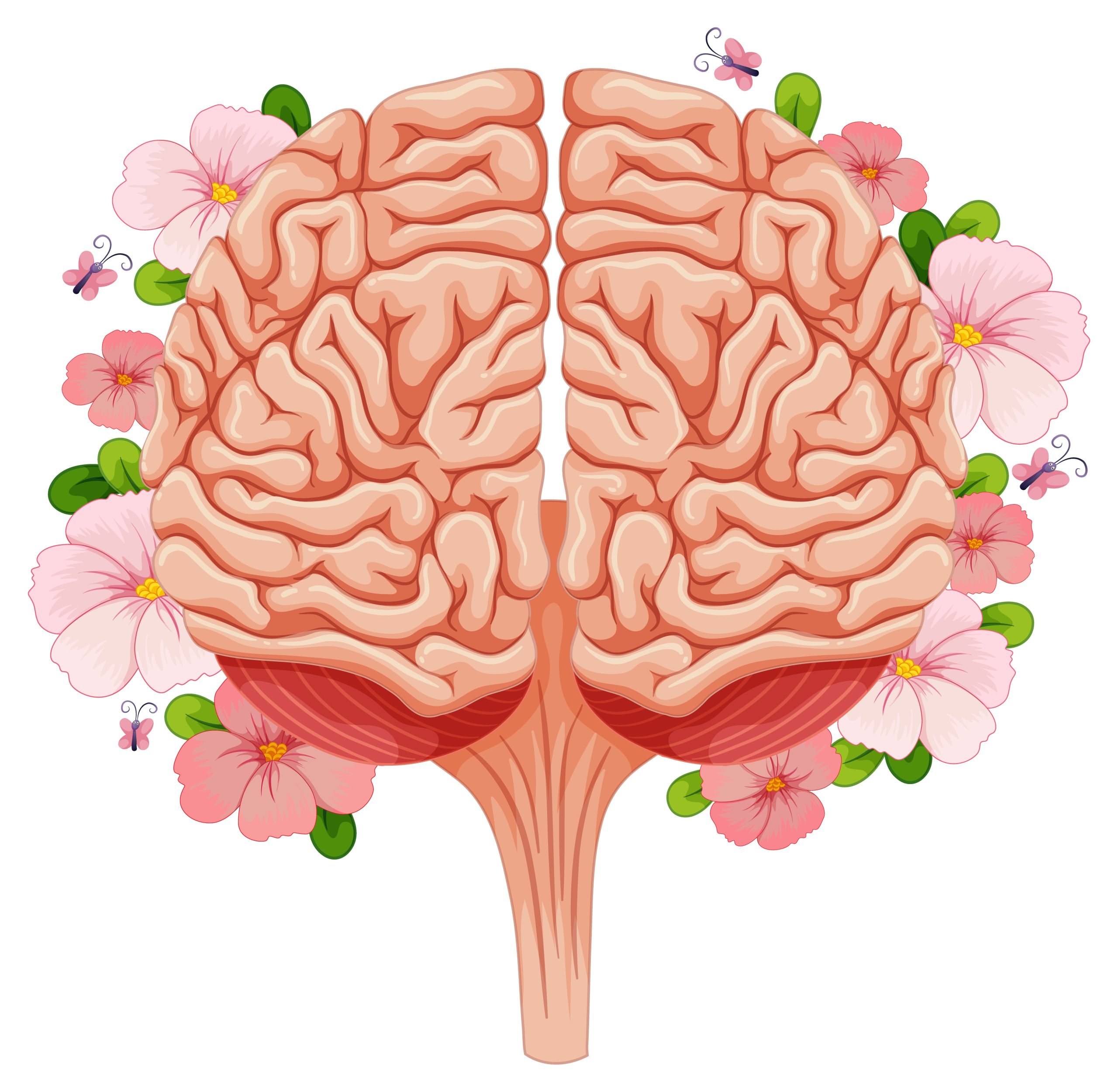 Human brain with many flowers Human brain with many flowers
